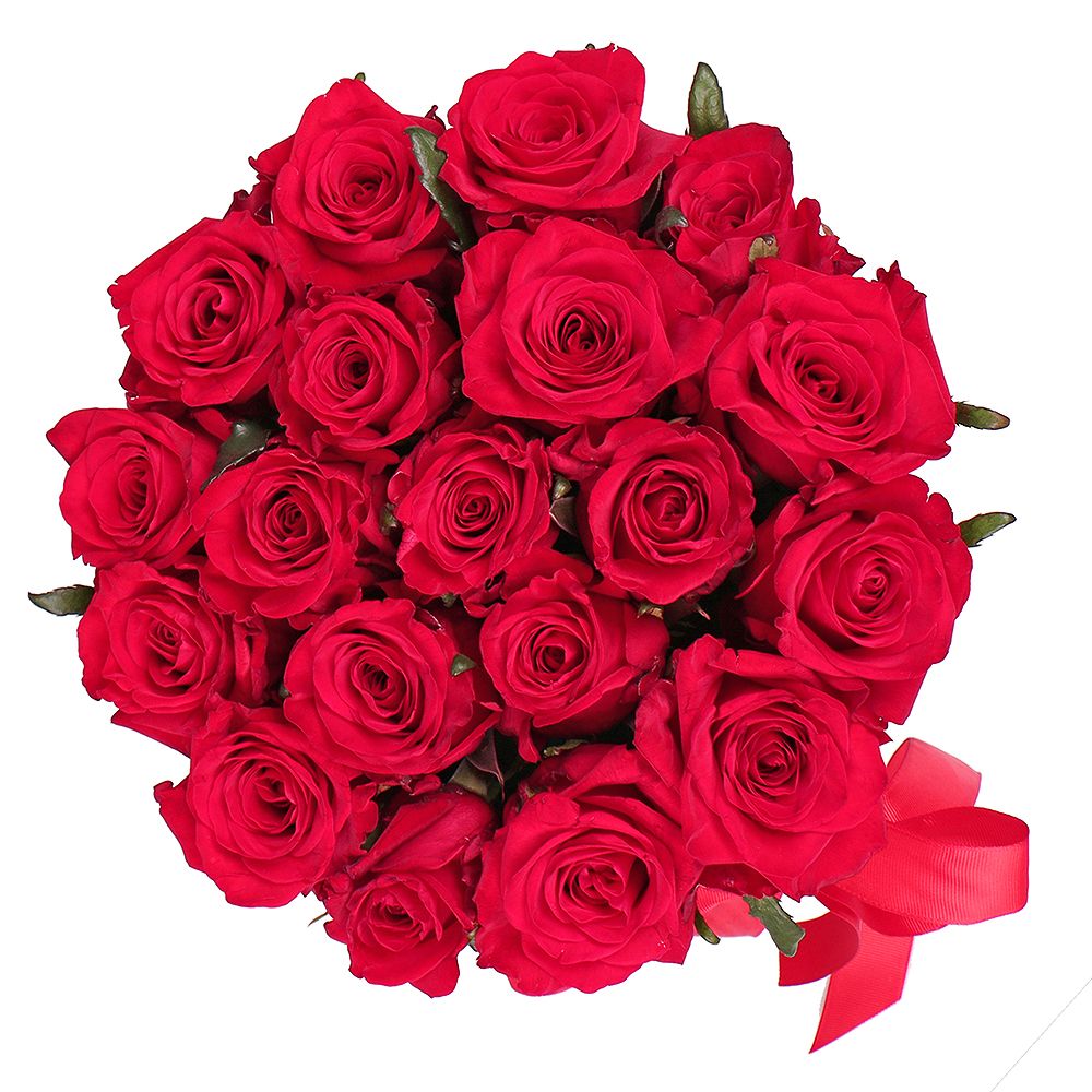 oasis, embossed box, rose (23 pcs.), packaging, ribbon