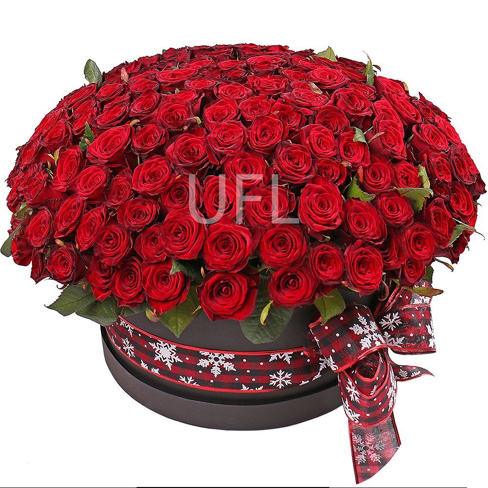 box, oasis, rose (201 pcs.), packaging, ribbon