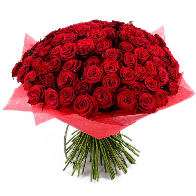 Bouquet 101 red rose 50cm