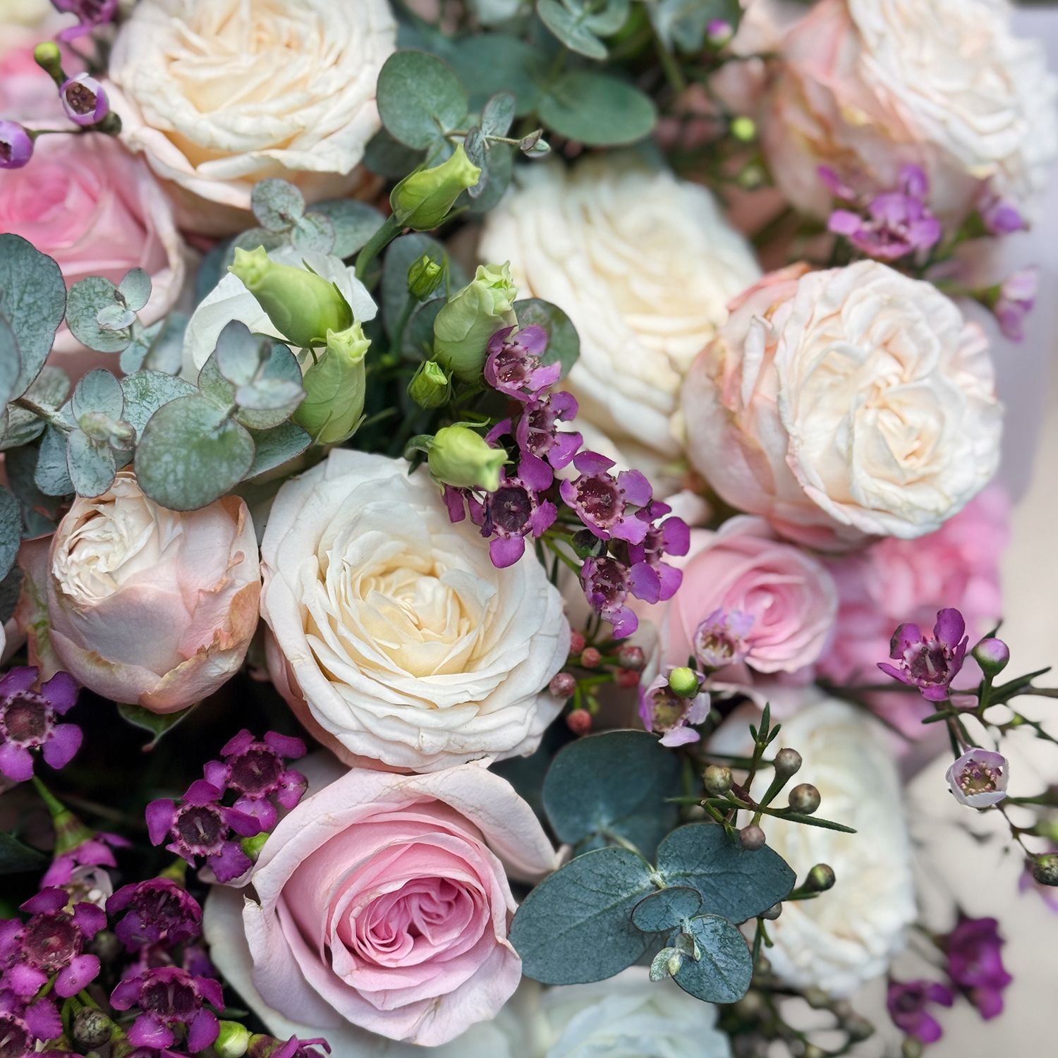 rose memory lane, white eustoma, pink spray roses, pink carnation, eucalyptus, chamelacium, packaging, ribbon