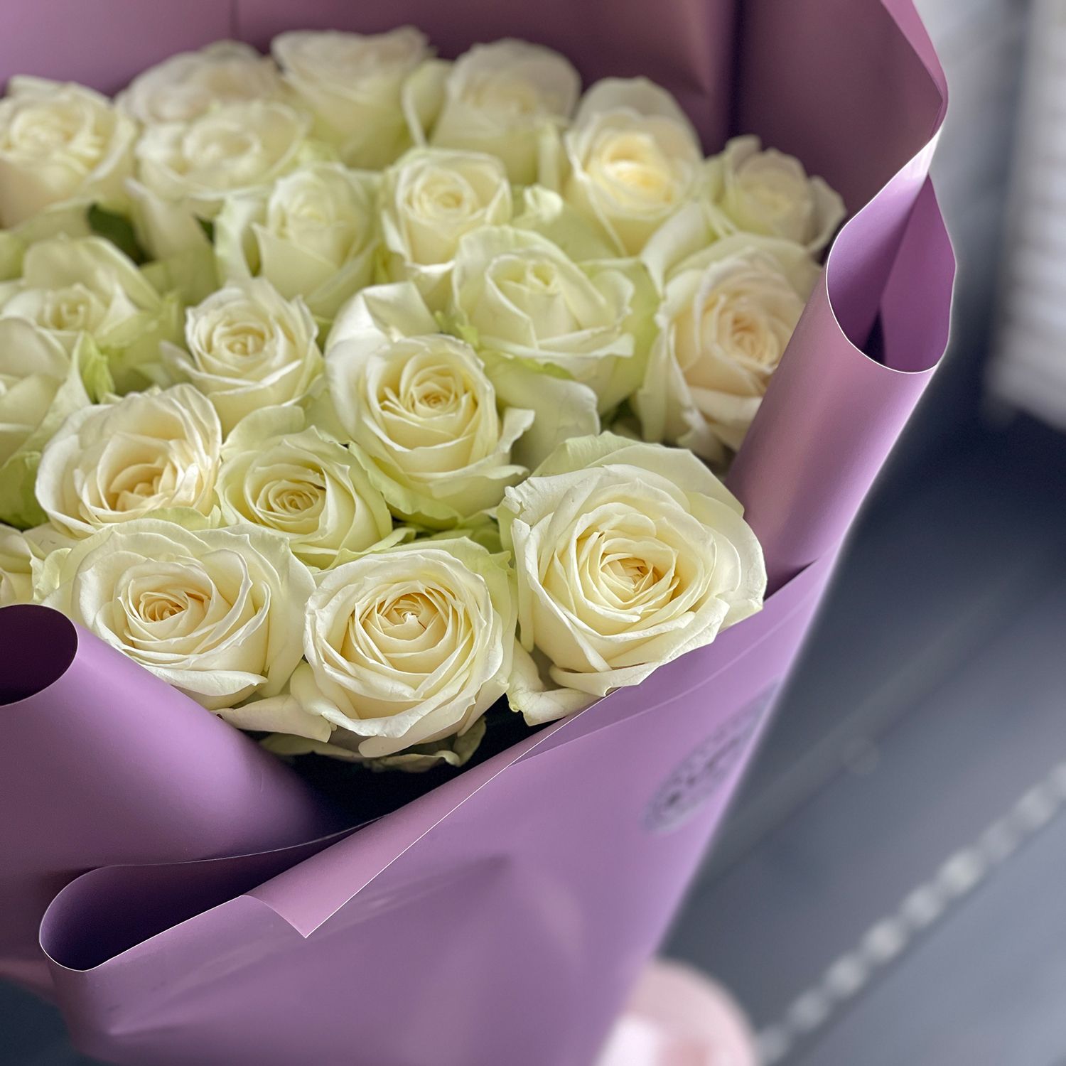 white rose (25 pcs.), packaging, ribbon