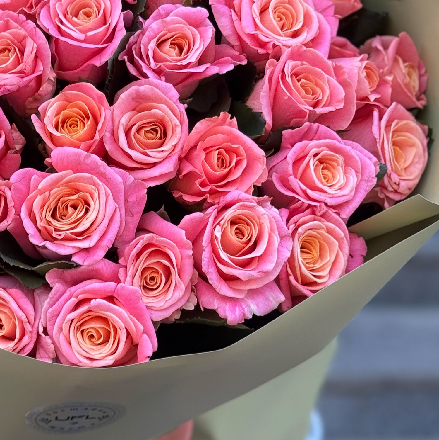 rose (51 pcs.), packaging, ribbon