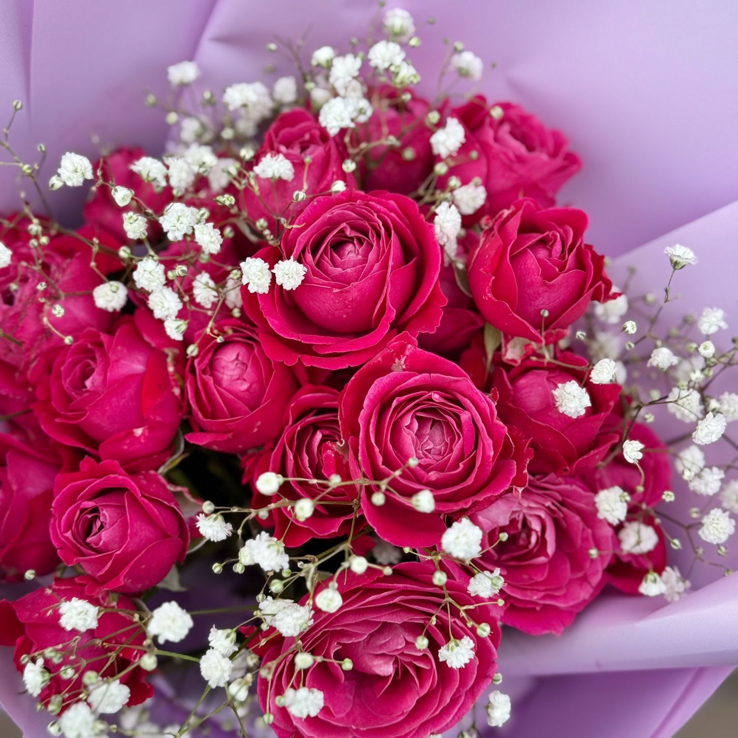 Bouquet Pink marvel 7 roses