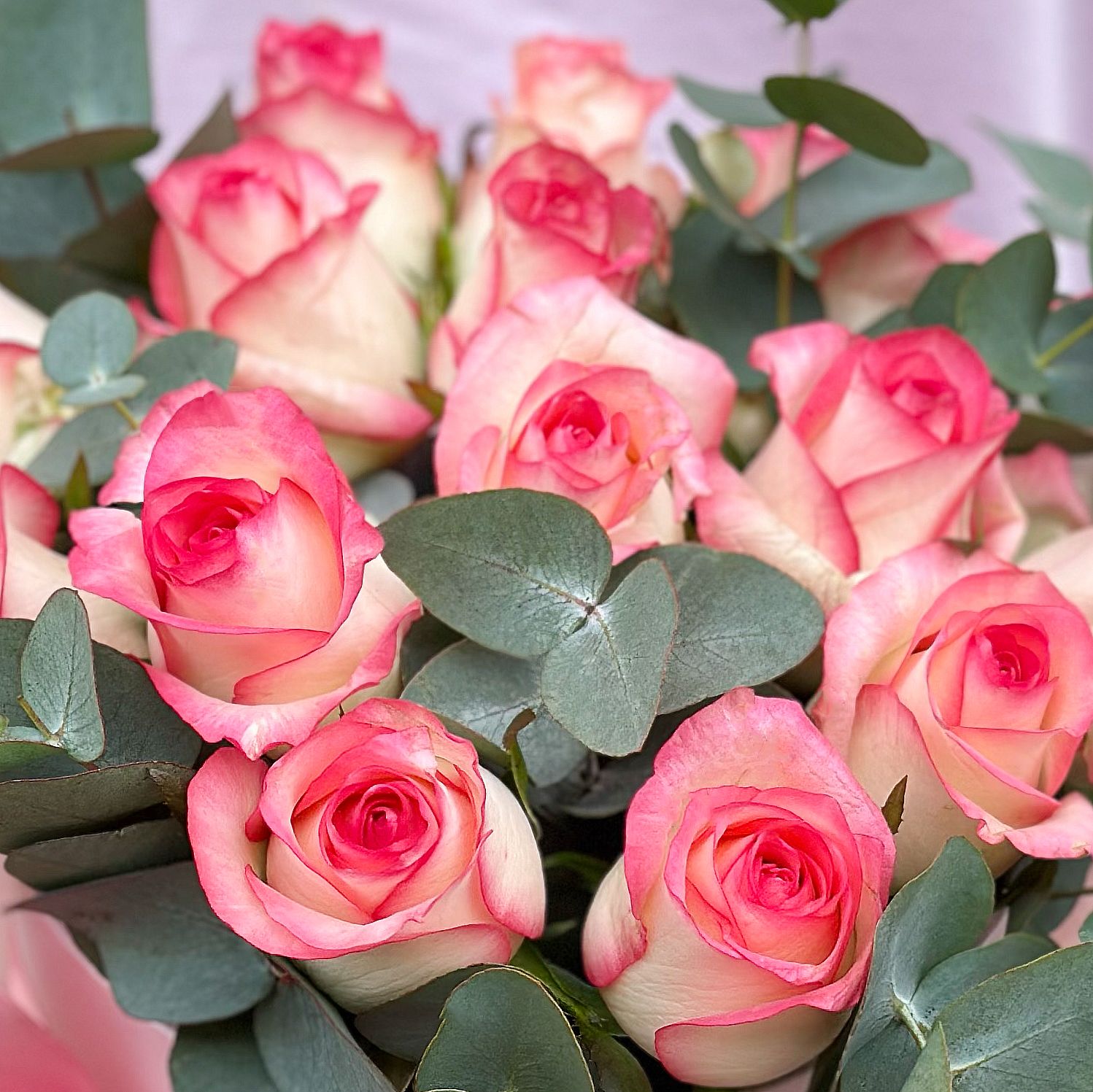 Bouquet Roses in a box Jumilia 15pcs