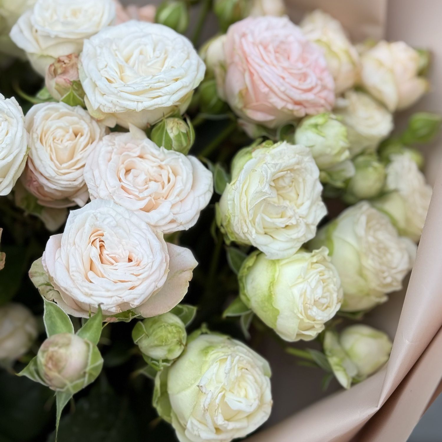 Bouquet Bouquet of tender spray roses 11pcs
