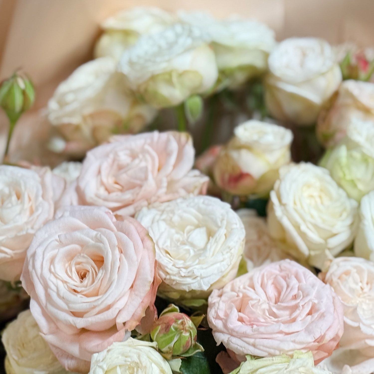 Bouquet Spray of 9 roses + Raffaello