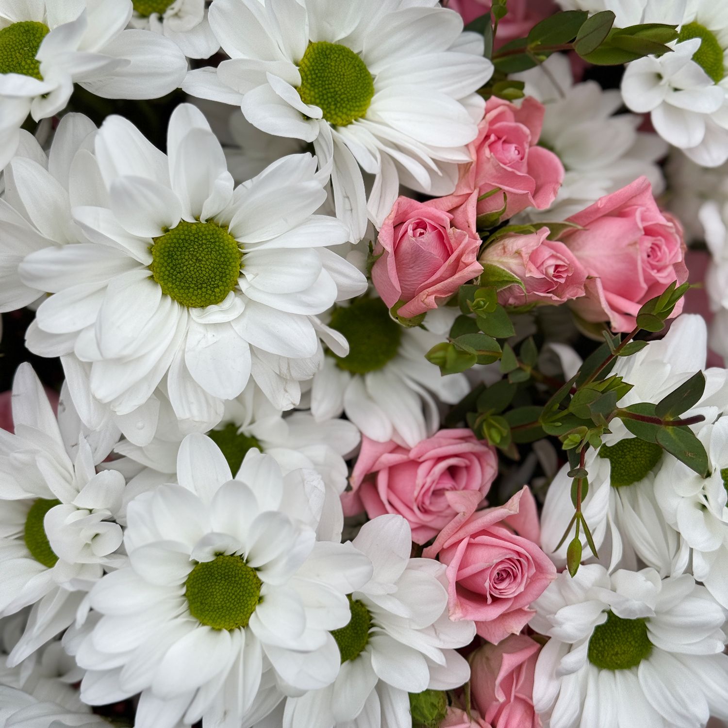 Bouquet Spring morning