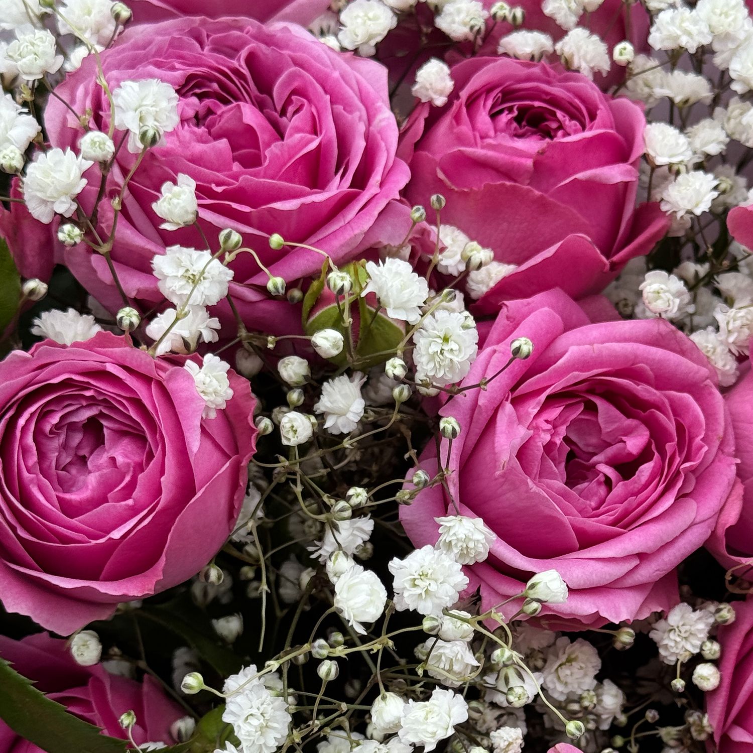 Bouquet Bouquet Pink wonder Misti Bubbles 9pcs