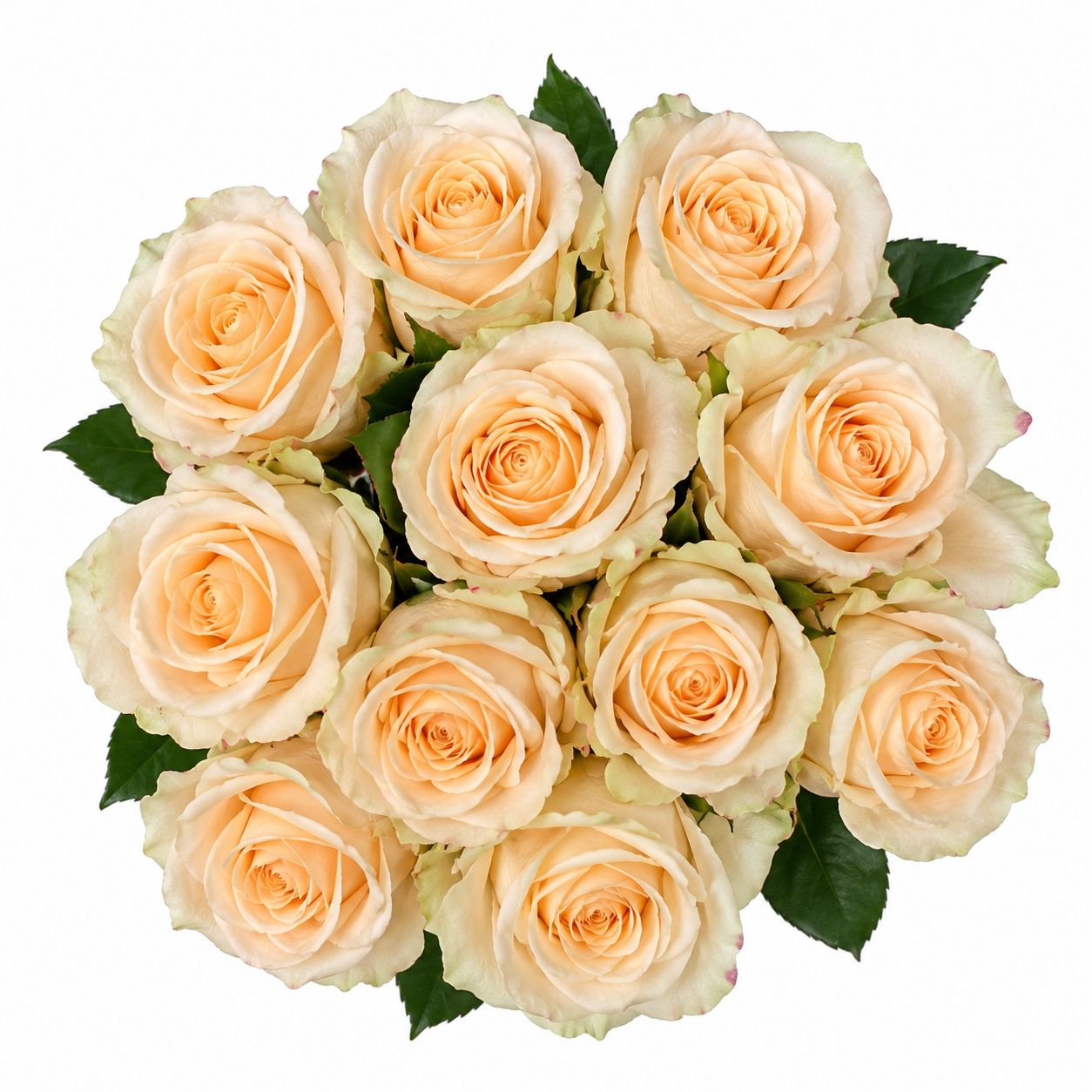 Bouquet Rose Peach Avalanche