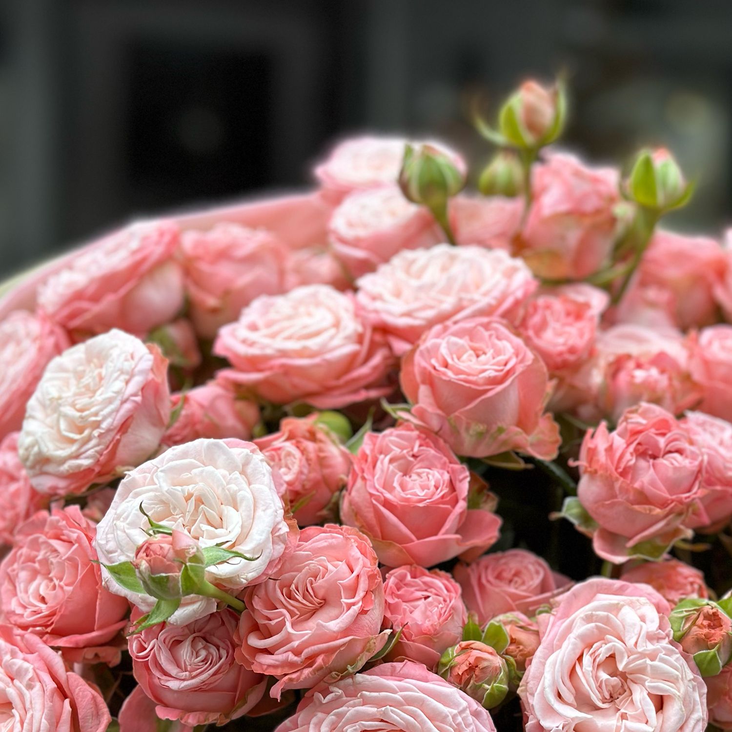 Bouquet Bouquet of spray roses 17 pcs
