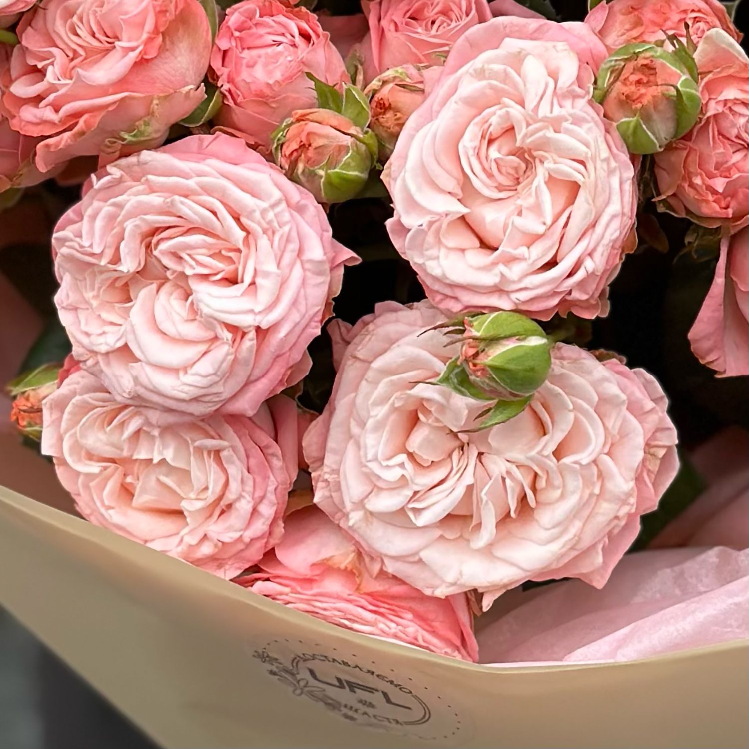Bouquet Bouquet of spray roses 17 pcs