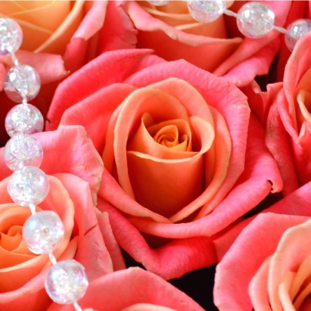 coral rose (75 pcs.), oasis, packaging, ribbon