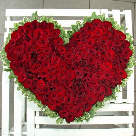 rose (145 pcs.), oasis, packaging, ribbon