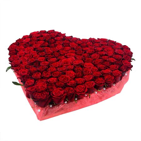 rose (145 pcs.), oasis, packaging, ribbon