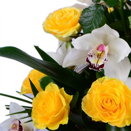 yellow rose (18 pcs.), basket m, white cymbidium (15 pcs.), oasis, packaging, ribbon