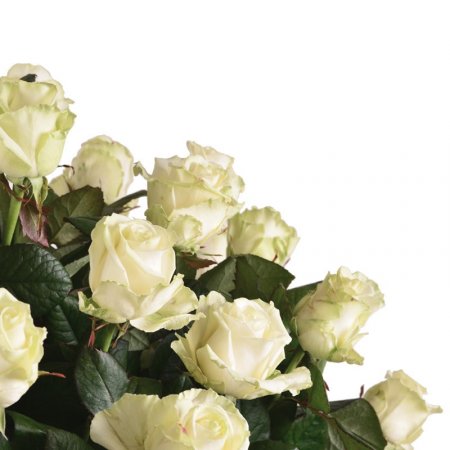 white rose (72 pcs.), basket, packaging, ribbon