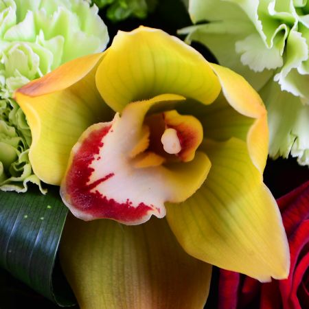 Bouquet Amazing