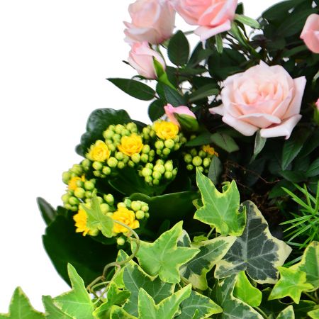 Buy a a bouquet 'Summer Morning' with delivery