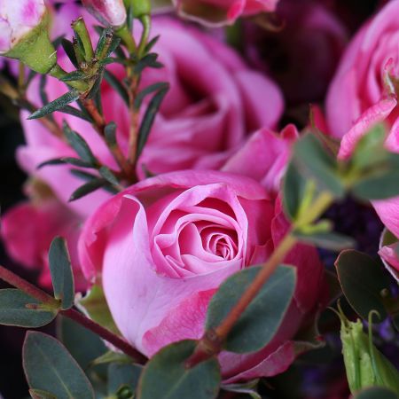 bouvardia, chamelacium, rosea eustoma, limonium, eucalyptus, packaging, tape