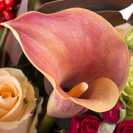 eustoma, eucalyptus, calla, spray rose, ilex, cream rose, packaging, ribbon