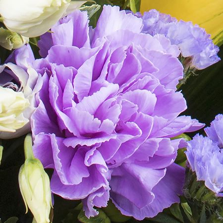 callas, statice, eustoma, hypericum, carnations (5 pcs.), spray rose (5 pcs.), brassica, packaging, ribbon