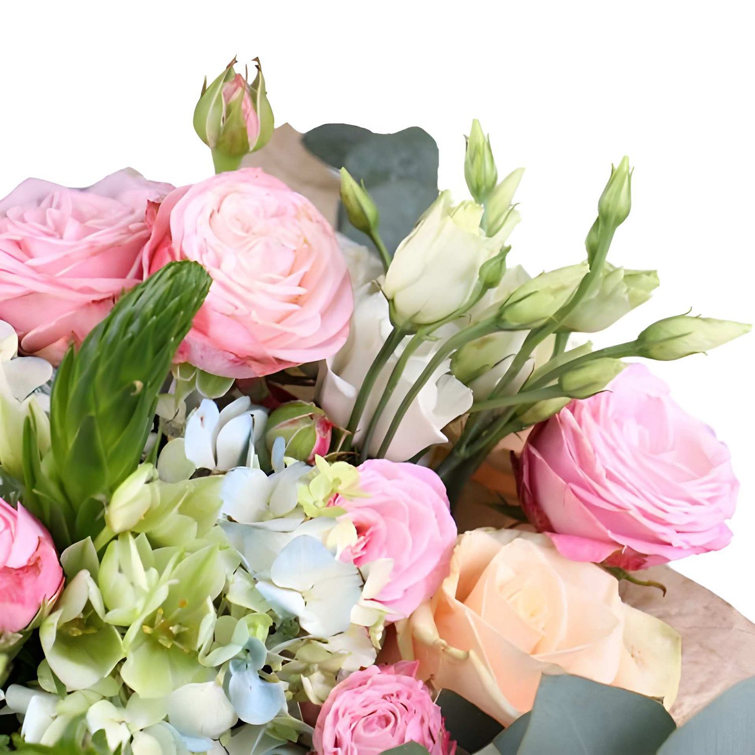 hydrangea, ornithogalum, white eustoma, eucalyptus, pink spray roses (4 pcs.), cream rose, packaging, ribbon