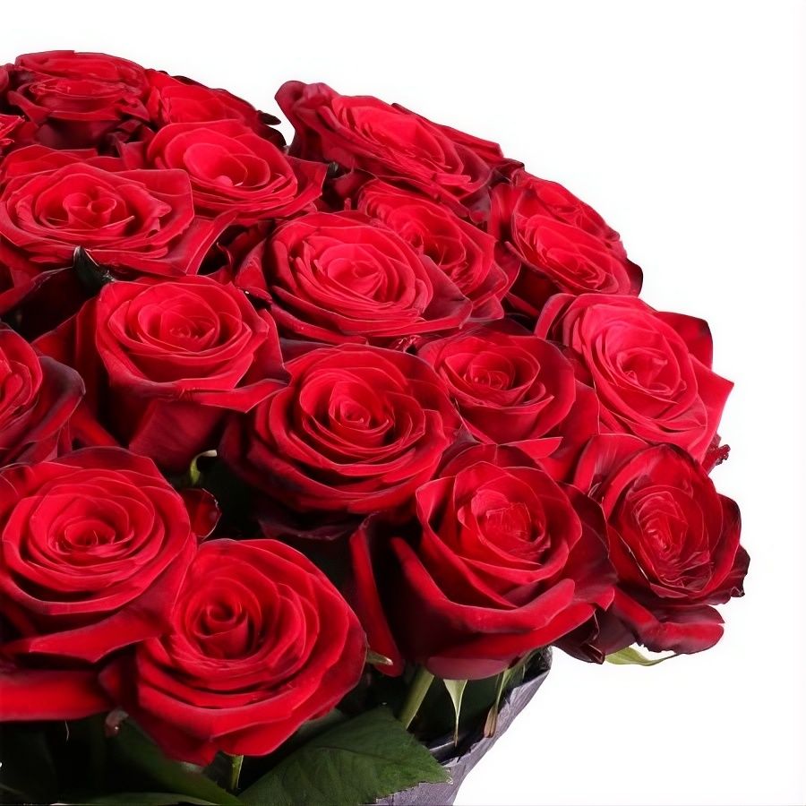 rose (50 pcs., packaging, ribbon)