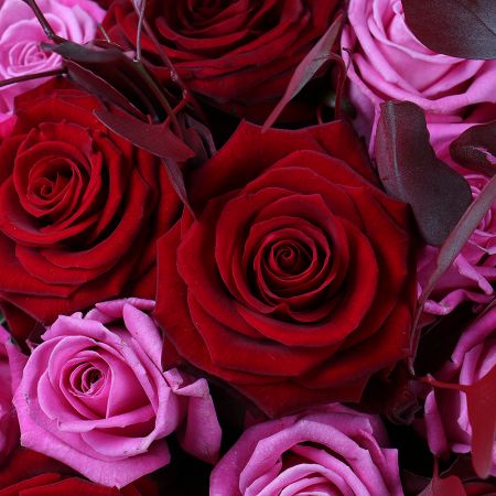 rose (8 pcs.), rose (13 pcs.), eucalyptus, box, packaging, ribbon