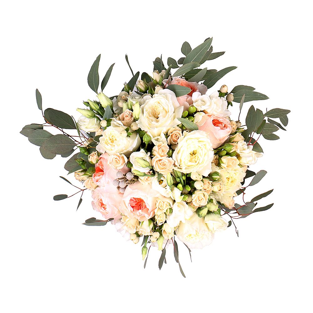 David Austin rose (13 pcs.), packaging, ribbon