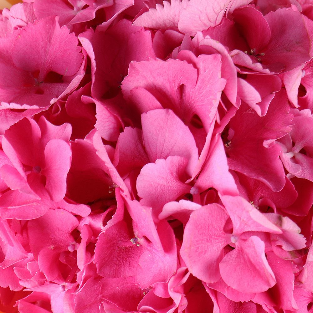 Bouquet A bright moment