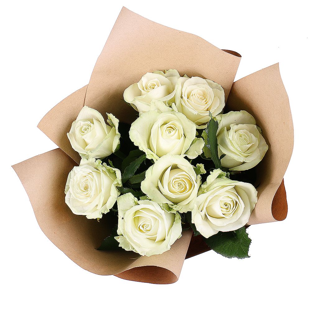 rose (9 pcs.), packaging, ribbon