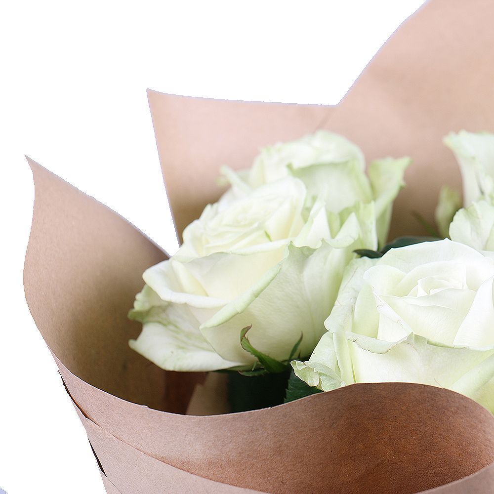 rose (9 pcs.), packaging, ribbon