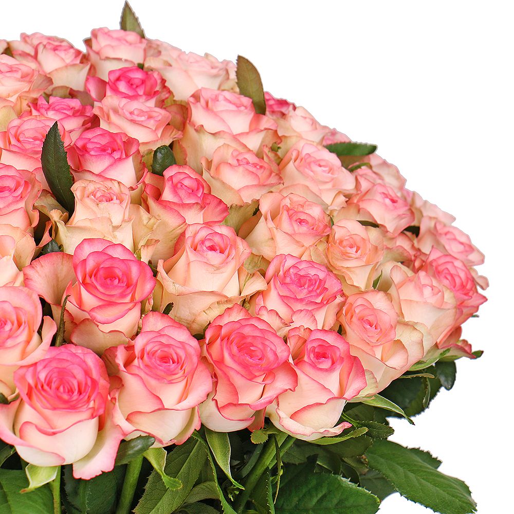 jumilia rose (101 pcs.), packaging, ribbon