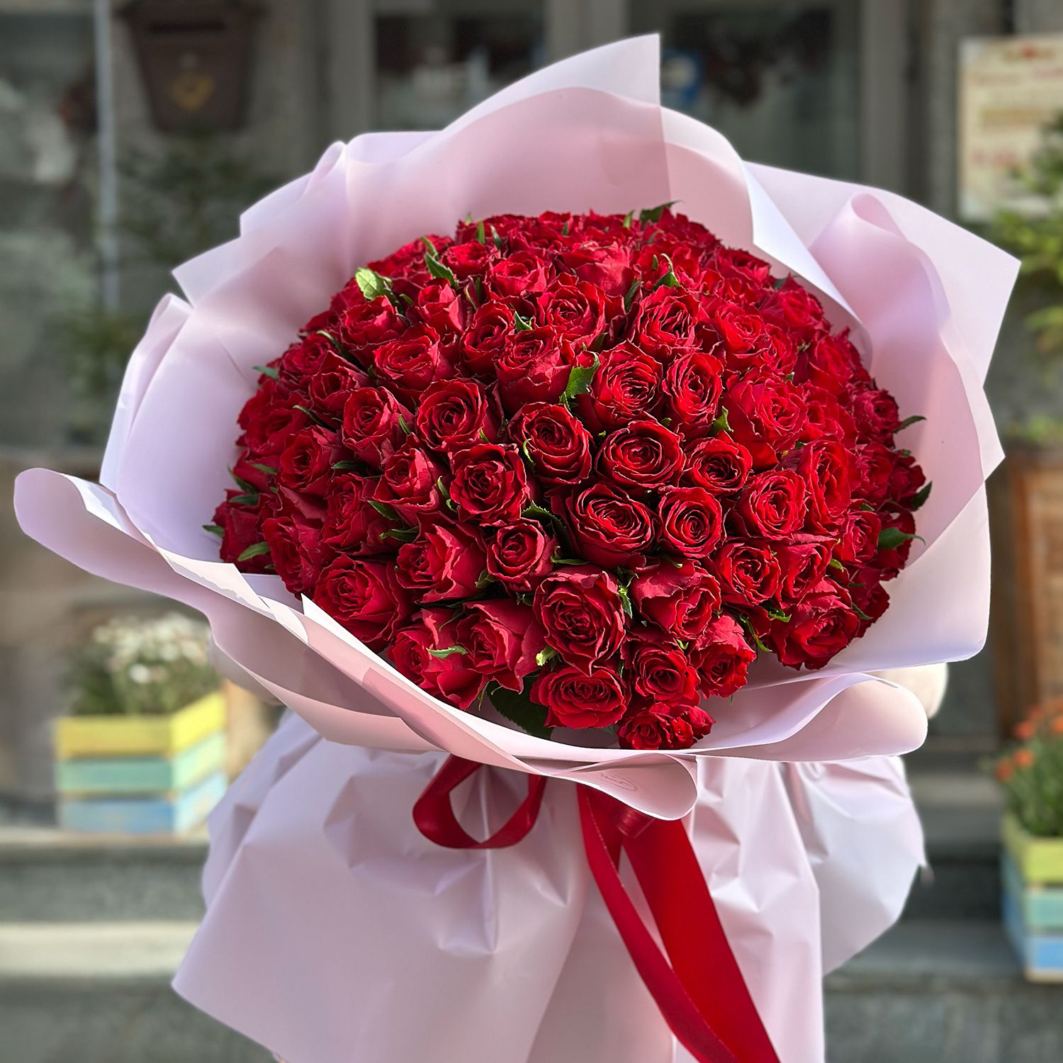 rose (101 pcs.), packaging, ribbon